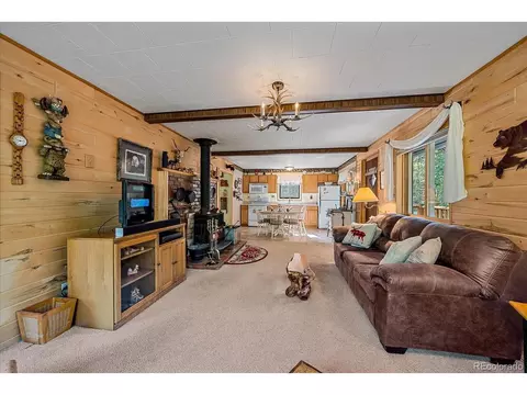 3938 County Road 60, Grant, CO 80448 photo 21