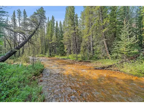 3938 County Road 60, Grant, CO 80448 photo 5