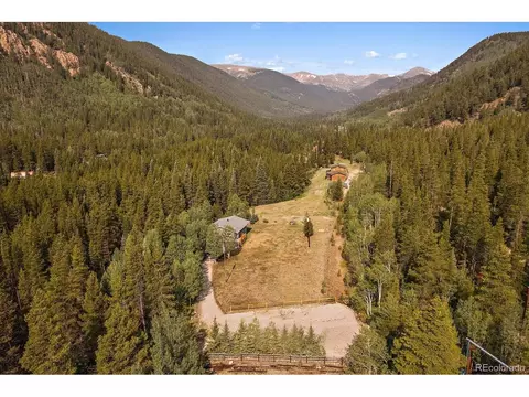 3938 County Road 60, Grant, CO 80448 photo 9
