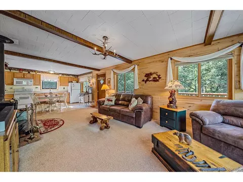 3938 County Road 60, Grant, CO 80448 photo 24