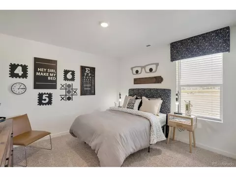 221 Haymaker Ln, Severance, CO 80550 photo 23