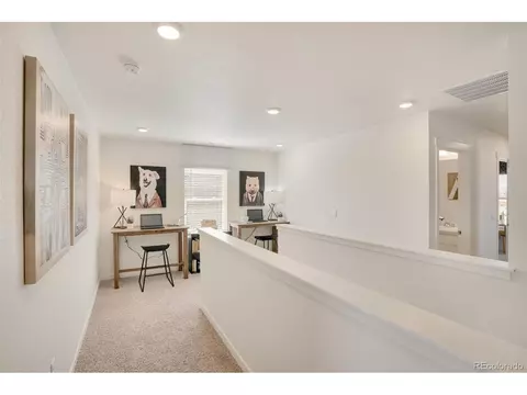 221 Haymaker Ln, Severance, CO 80550 photo 17