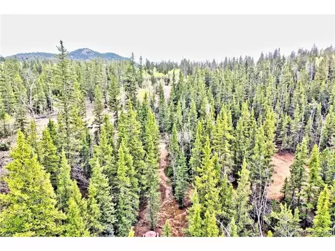 56 Bear Way, Como, CO 80432 photo 4