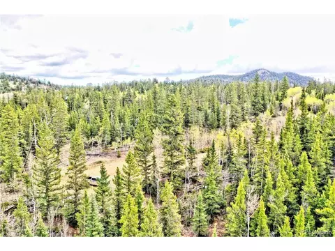 56 Bear Way, Como, CO 80432 photo 5