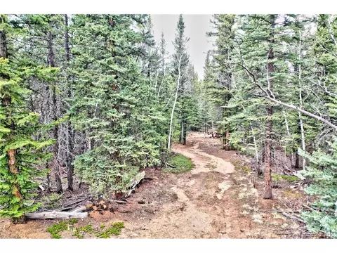 56 Bear Way, Como, CO 80432