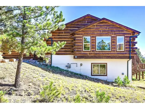 278 Clark Rd, Bailey, CO 80421 photo 6