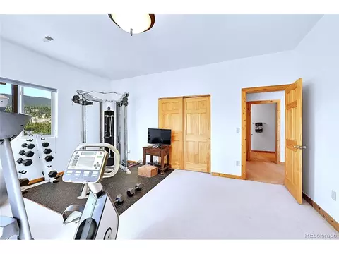 278 Clark Rd, Bailey, CO 80421 photo 23