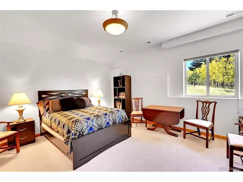 278 Clark Rd, Bailey, CO 80421 photo 22