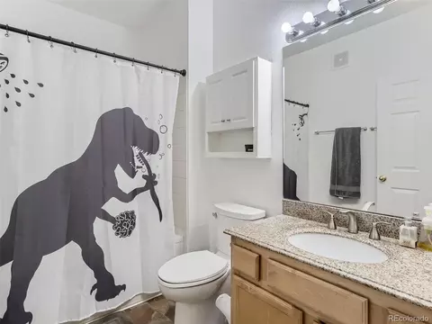 3262 E 103rd Dr #1809, Thornton, CO 80229 photo 10