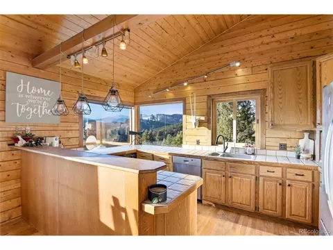 15505 S Pitkin Ln, Pine, CO 80470 photo 18