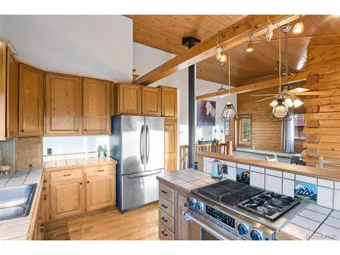 15505 S Pitkin Ln, Pine, CO 80470 photo 39