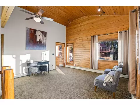 15505 S Pitkin Ln, Pine, CO 80470 photo 20