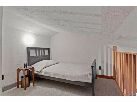 15505 S Pitkin Ln, Pine, CO 80470 photo 36