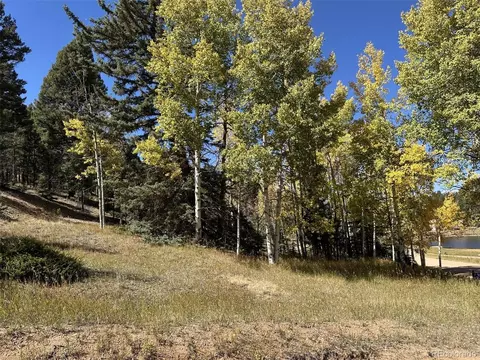 244 Spring Valley Ln, Florissant, CO 80816