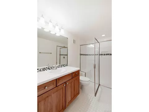 8749 E 23rd Ave, Denver, CO 80238 photo 31
