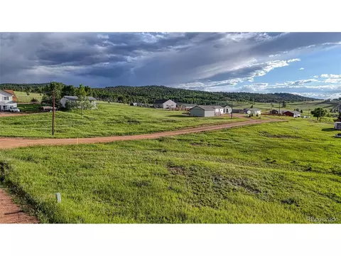 112 Will Scarlet, Divide, CO 80814 photo 21