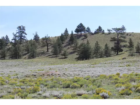 120 Cr-11, Hartsel, CO 80449