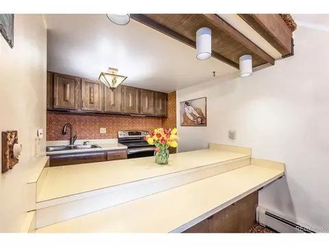 304 Ryan Gulch Ct #B302, Silverthorne, CO 80498 photo 5