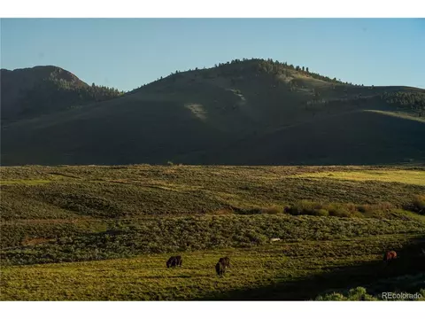 Undisclosed, Walden, CO 80480 photo 13