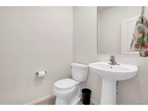 Bath - 7383 Blue River Ave, Frederick, CO 80530 photo 5 of 5