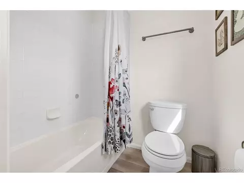 Bath - 7383 Blue River Ave, Frederick, CO 80530 photo 2 of 5