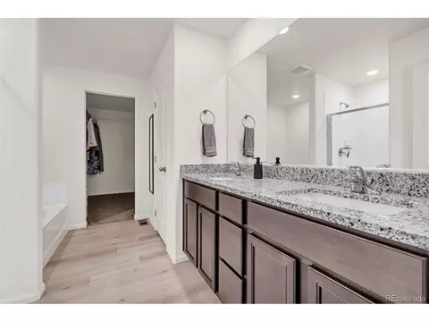 Bath - 7383 Blue River Ave, Frederick, CO 80530 photo 3 of 5