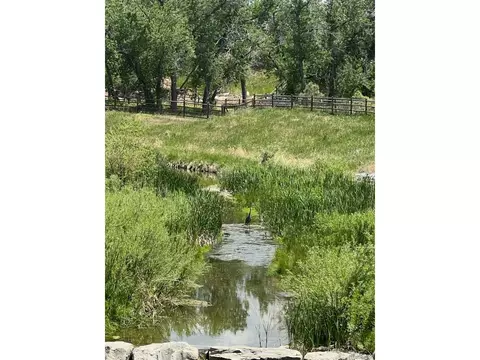 19971 E Caley Dr, Centennial, CO 80016 photo 45