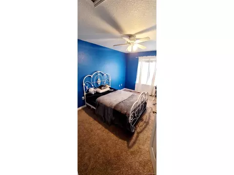 14750 E 50th Pl, Denver, CO 80239 photo 15