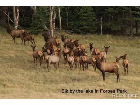 2354 Benton Pl, Fort Garland, CO 81133