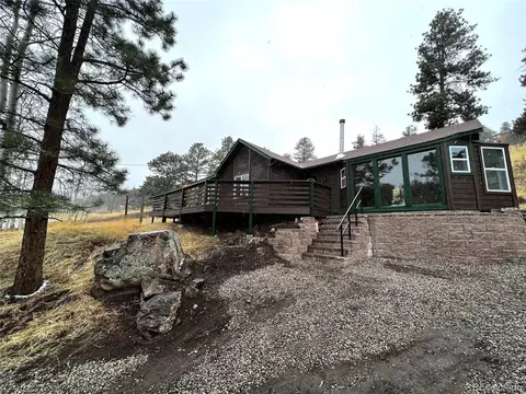 555 N Pine Dr, Bailey, CO 80421 photo 20
