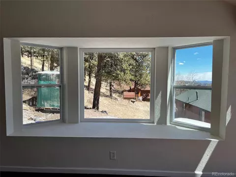 555 N Pine Dr, Bailey, CO 80421 photo 8