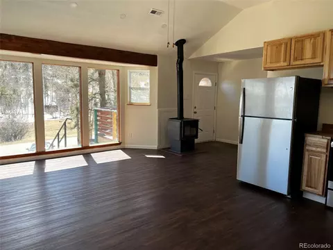 555 N Pine Dr, Bailey, CO 80421 photo 9