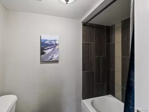 3401 N Steele St, Denver, CO 80205 photo 23