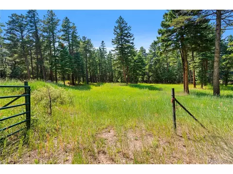 10950 Bartlett Trl, Rye, CO 81069 photo 32