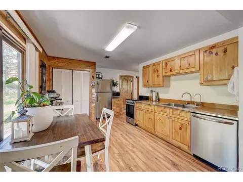 827 S Pine Dr, Bailey, CO 80421 photo 10
