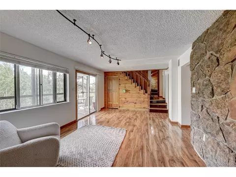 827 S Pine Dr, Bailey, CO 80421 photo 19