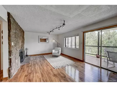 827 S Pine Dr, Bailey, CO 80421 photo 18