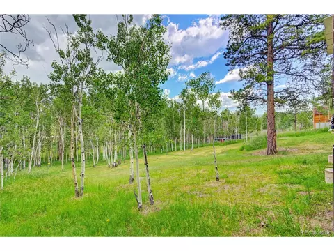 827 S Pine Dr, Bailey, CO 80421 photo 37