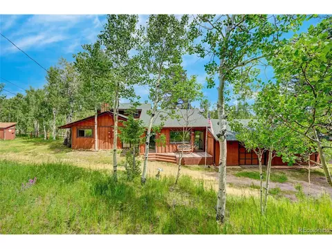 827 S Pine Dr, Bailey, CO 80421