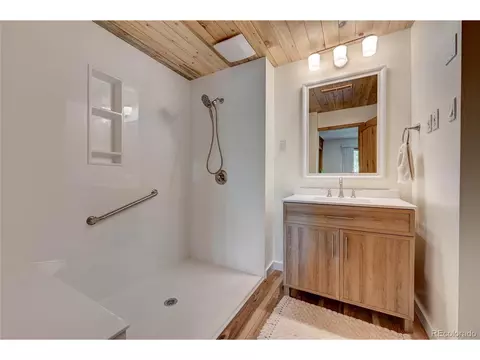 827 S Pine Dr, Bailey, CO 80421 photo 17