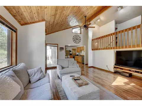 827 S Pine Dr, Bailey, CO 80421 photo 12