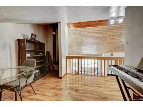 827 S Pine Dr, Bailey, CO 80421 photo 8