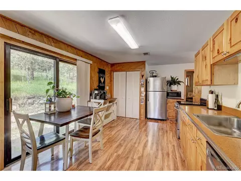 827 S Pine Dr, Bailey, CO 80421 photo 11