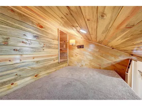 827 S Pine Dr, Bailey, CO 80421 photo 23