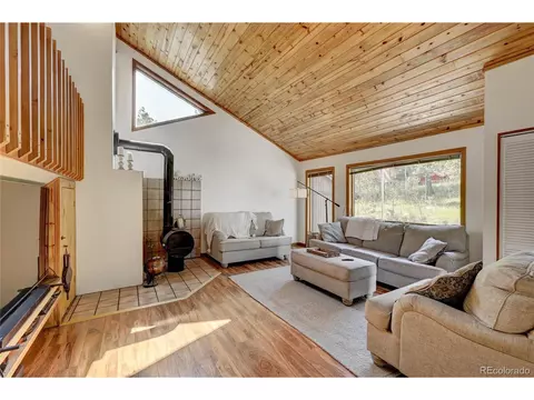 827 S Pine Dr, Bailey, CO 80421 photo 6