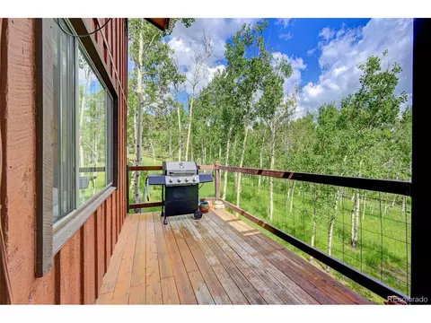 827 S Pine Dr, Bailey, CO 80421 photo 21