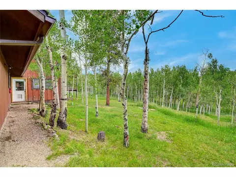 827 S Pine Dr, Bailey, CO 80421 photo 33