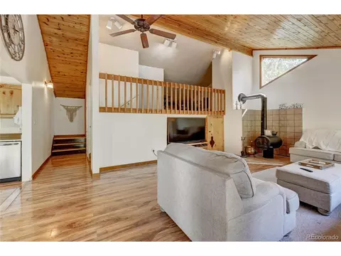 827 S Pine Dr, Bailey, CO 80421 photo 5