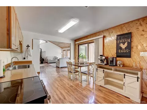 827 S Pine Dr, Bailey, CO 80421 photo 14