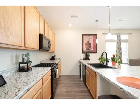 17960 E 103rd Ave, Commerce City, CO 80022 photo 7